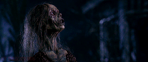 tumblr_ngbzq0be6N1rp0vkjo1_500.gif