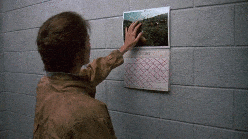 tumblr_o7zxvttXbE1tqyfuro1_500.gif