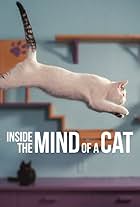 Was Katzen denken (2022) Was Katzen denken (2022)